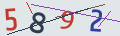 verifycode